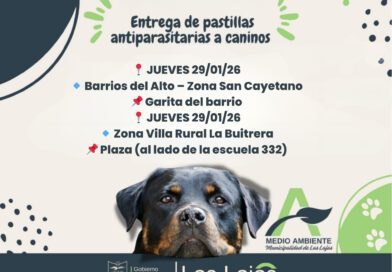 entrega de pastillas parasitarias